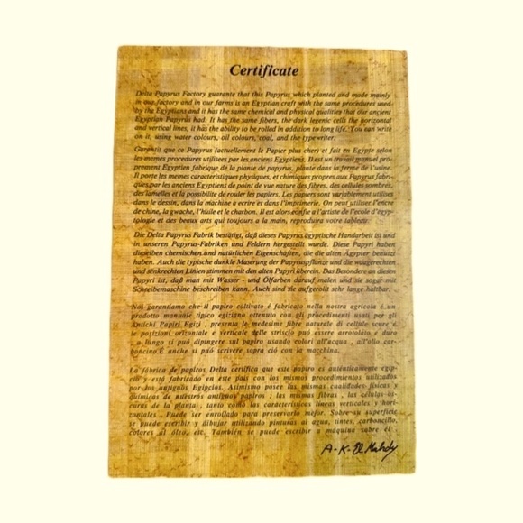 Egyptian Papyrus Paper Art by Delta Papyrus Factory - Picture 4 of 4